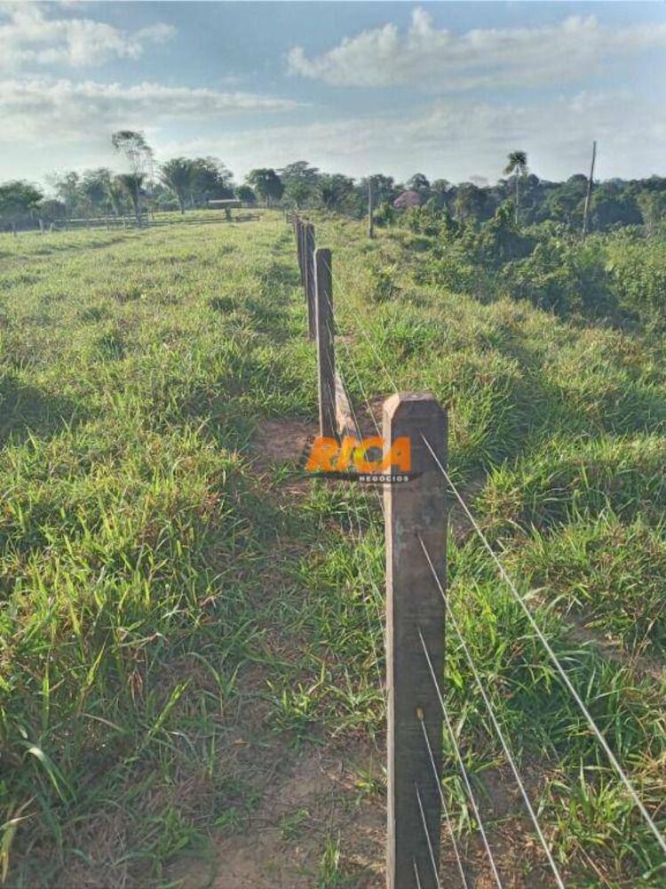 Fazenda, 453 hectares - Foto 19