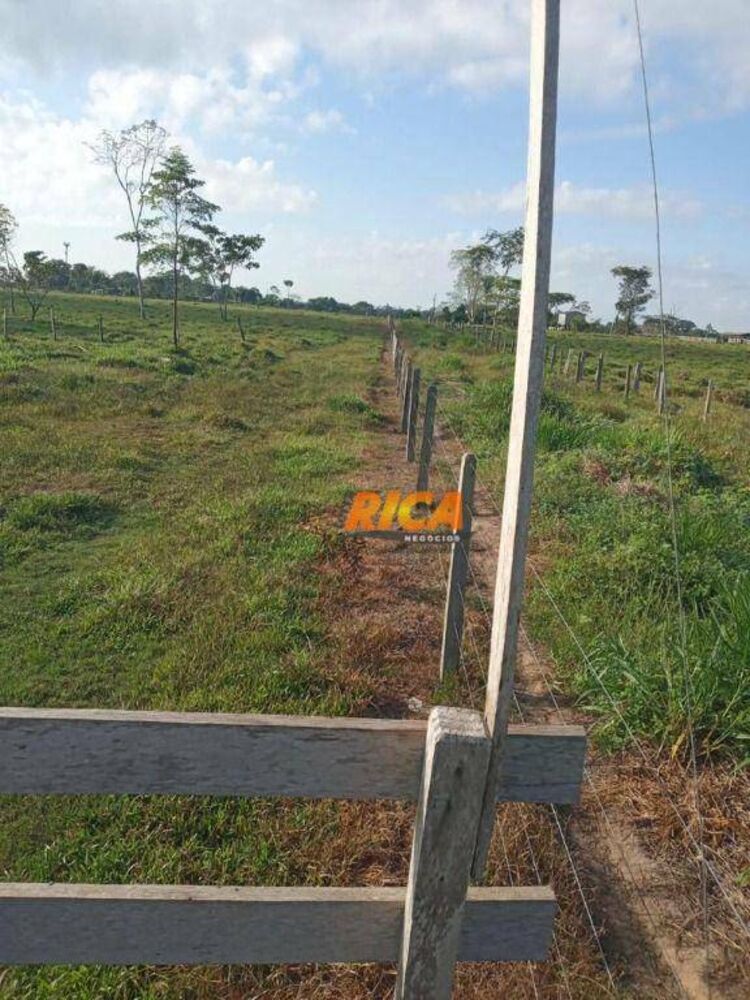 Fazenda, 453 hectares - Foto 11