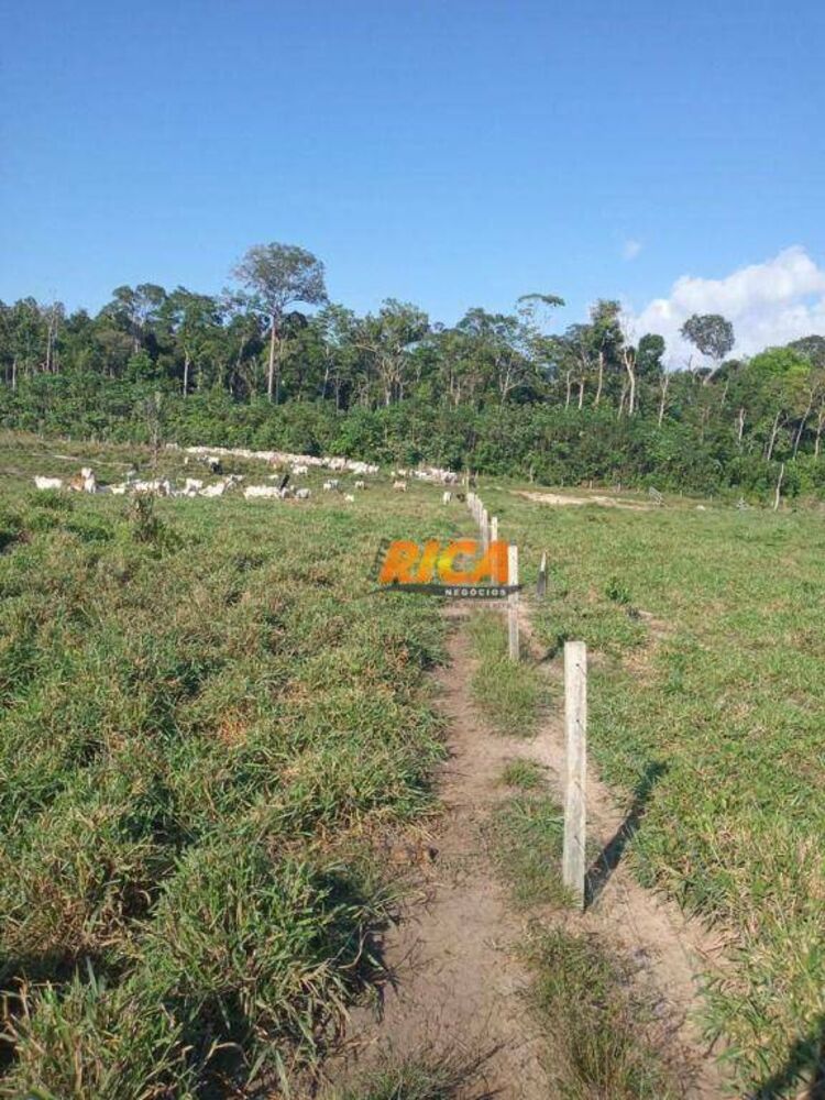 Fazenda, 453 hectares - Foto 3