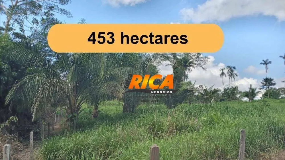 Fazenda, 453 hectares - Foto 21