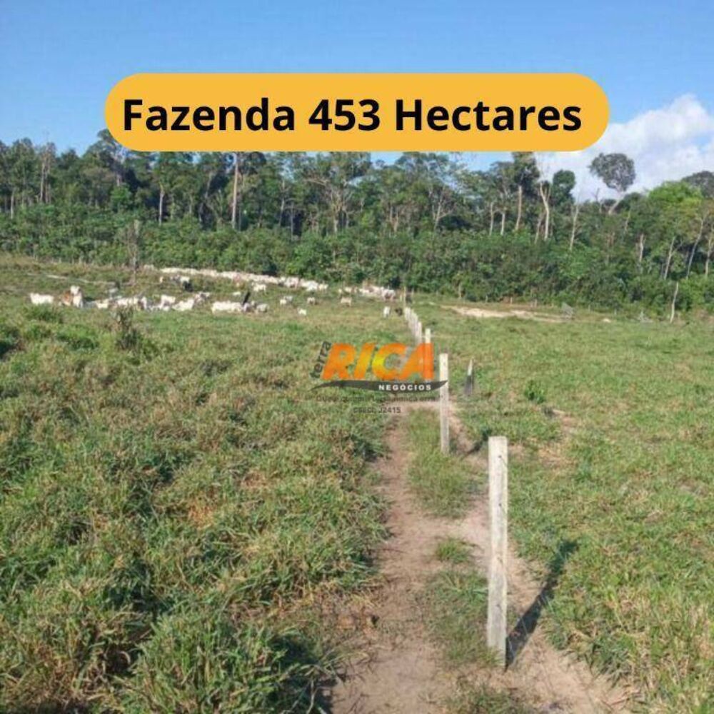 Fazenda, 453 hectares - Foto 1