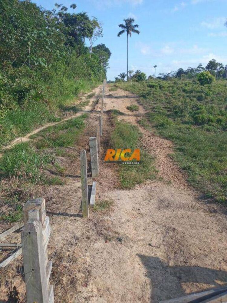 Fazenda, 453 hectares - Foto 8