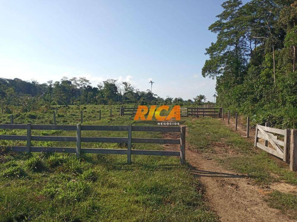 Fazenda, 453 hectares - Foto 4