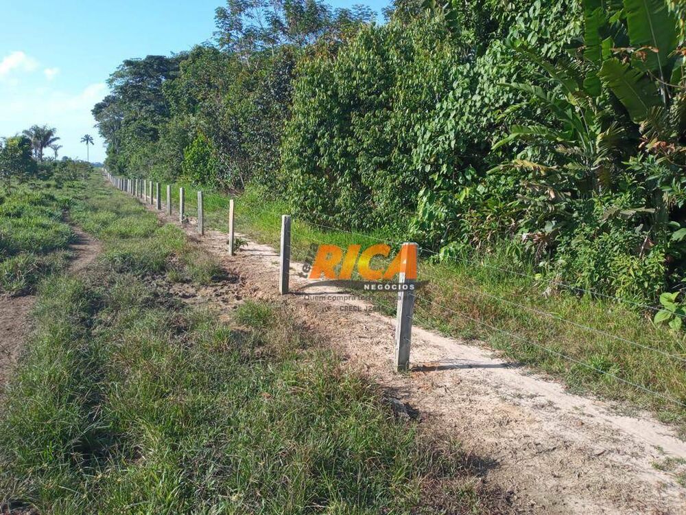 Fazenda, 453 hectares - Foto 20