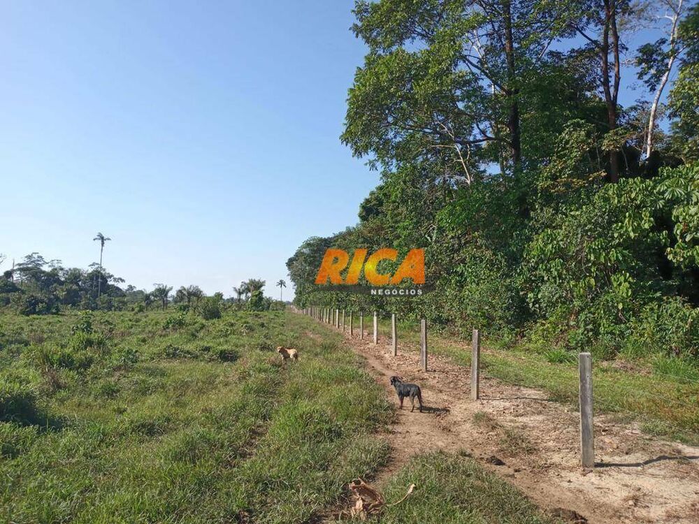 Fazenda, 453 hectares - Foto 7