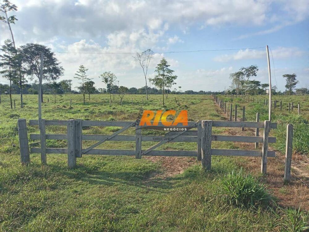 Fazenda, 453 hectares - Foto 13