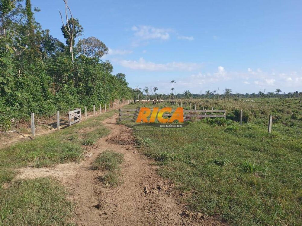 Fazenda, 453 hectares - Foto 5