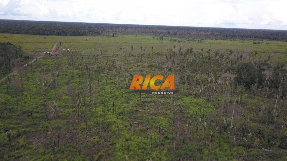 Fazenda, 467 hectares - Foto 11