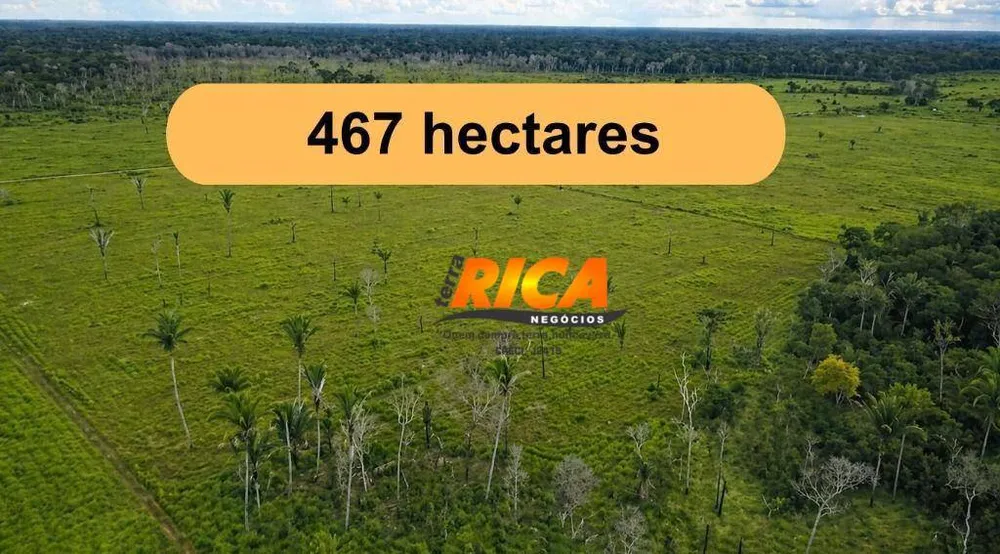 Fazenda, 467 hectares - Foto 2