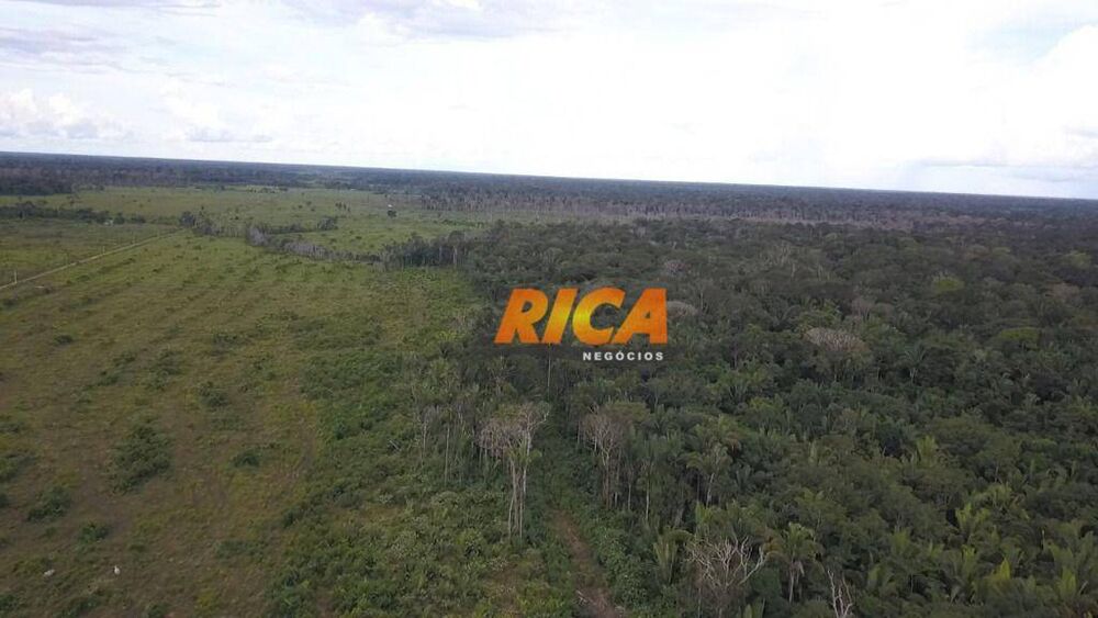 Fazenda, 467 hectares - Foto 14