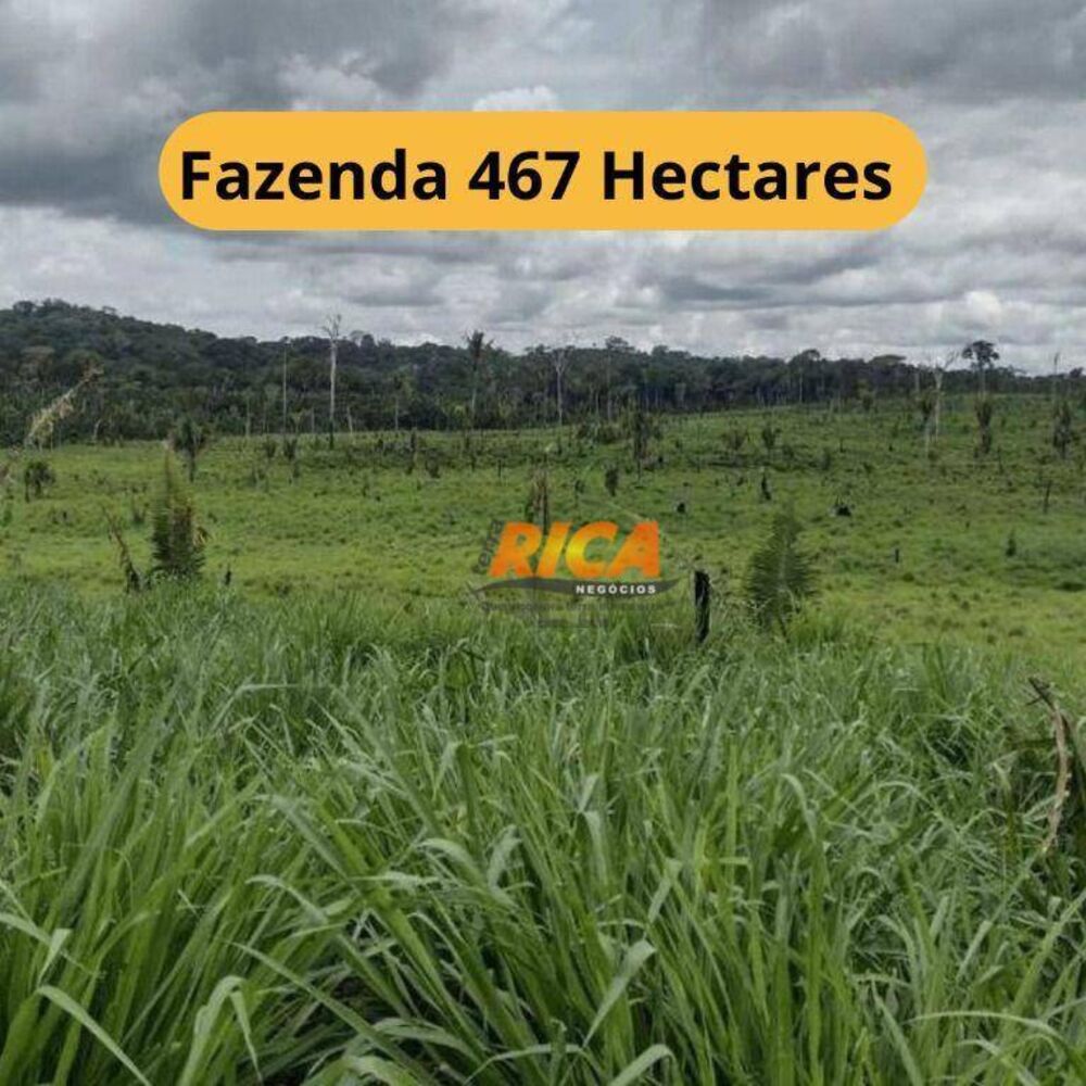 Fazenda, 467 hectares - Foto 1