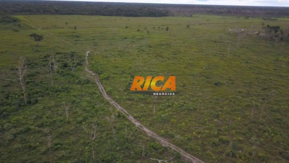 Fazenda, 467 hectares - Foto 10