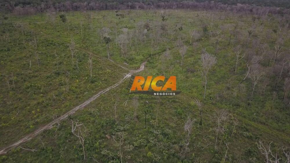 Fazenda, 467 hectares - Foto 8