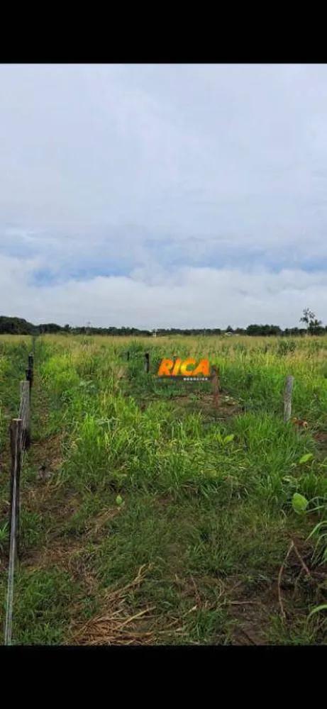 Fazenda, 241 hectares - Foto 7