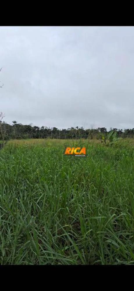 Fazenda, 241 hectares - Foto 8