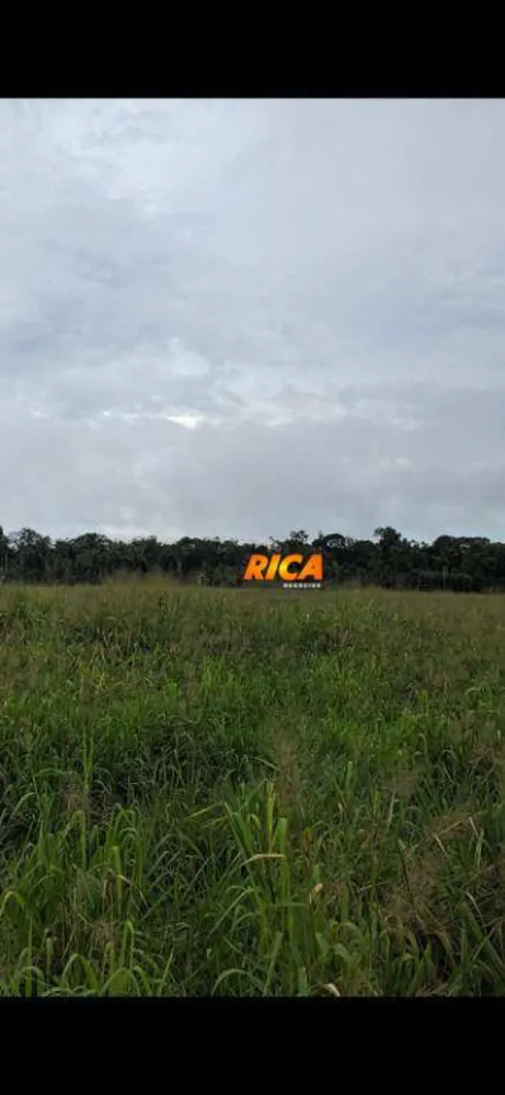 Fazenda, 241 hectares - Foto 3