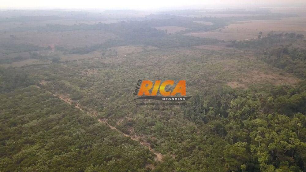 Fazenda, 270 hectares - Foto 4