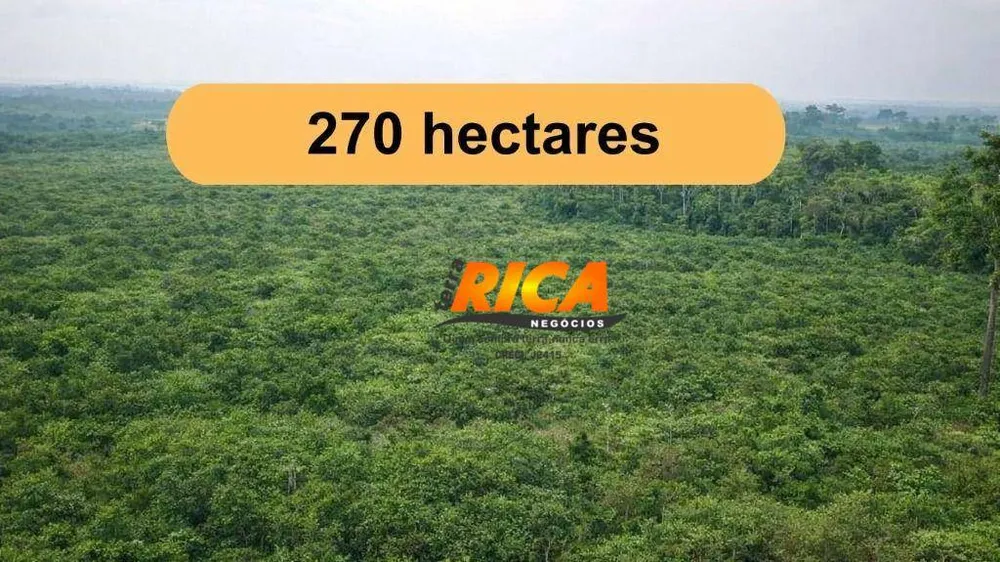 Fazenda, 270 hectares - Foto 7