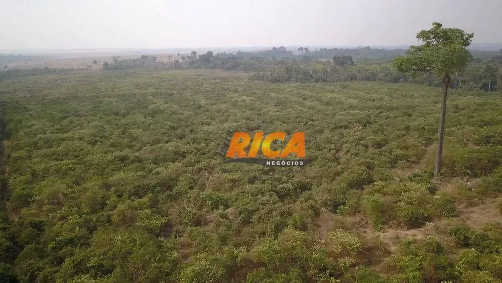 Fazenda, 270 hectares - Foto 2