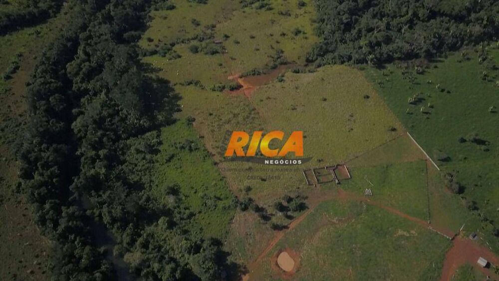 Fazenda, 988 hectares - Foto 2