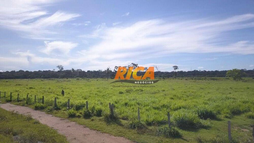 Fazenda, 988 hectares - Foto 4