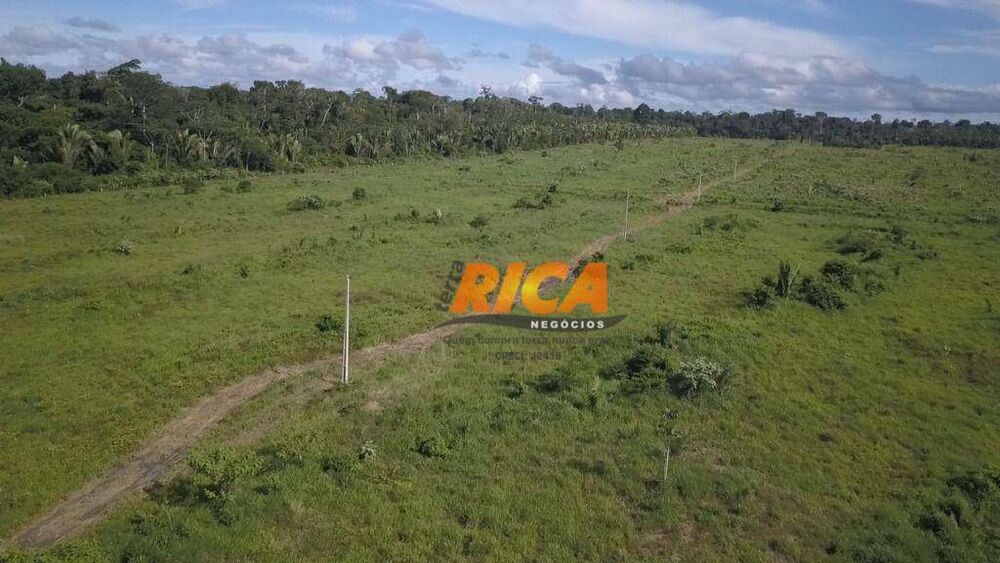 Fazenda, 988 hectares - Foto 3