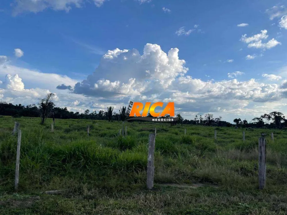 Sítio, 40 hectares - Foto 1
