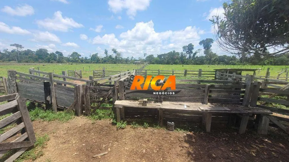 Sítio, 40 hectares - Foto 4