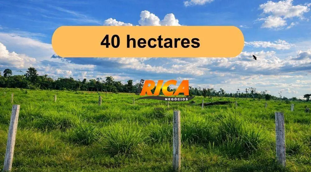 Sítio, 40 hectares - Foto 1