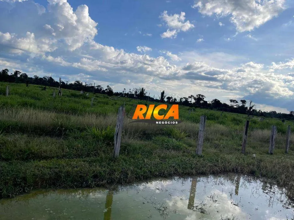 Sítio, 40 hectares - Foto 8
