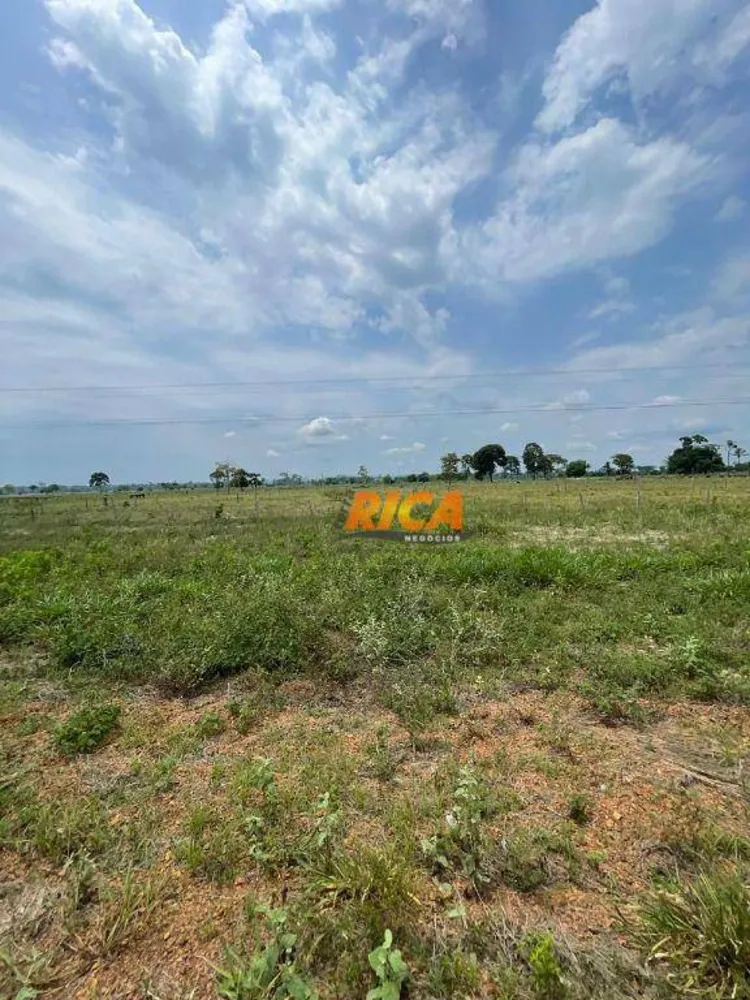 Sítio, 23 hectares - Foto 10