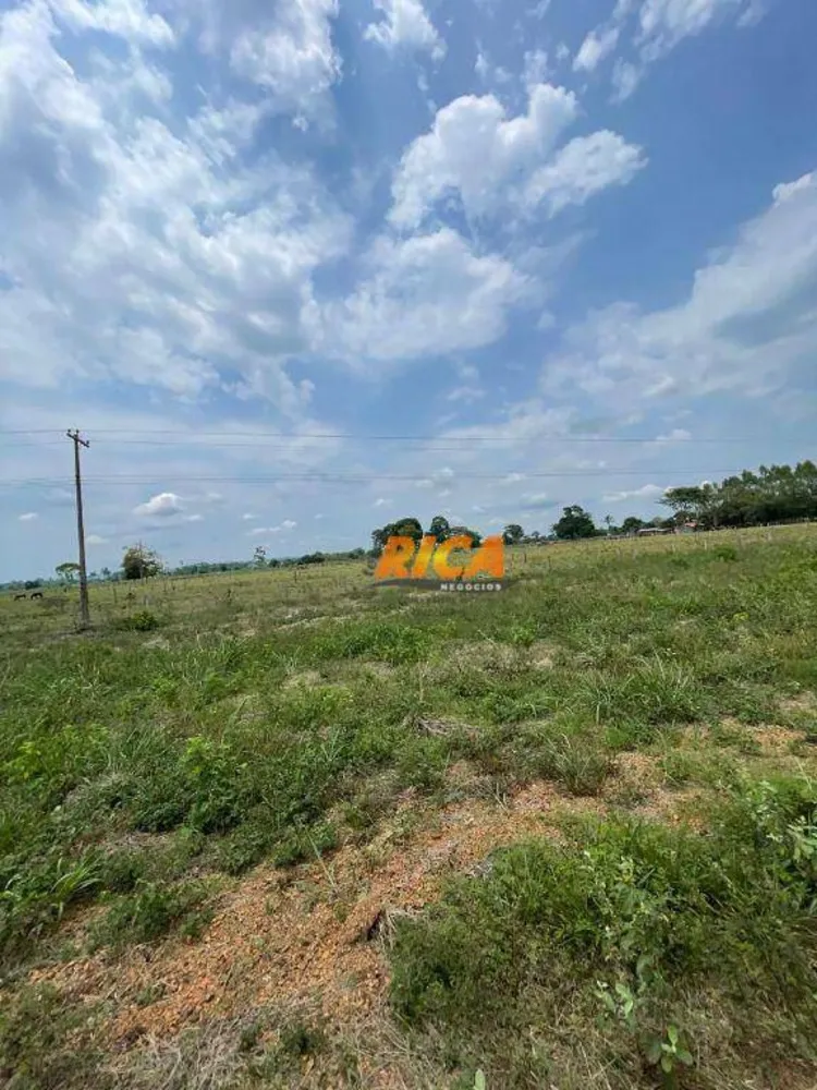 Sítio, 23 hectares - Foto 3