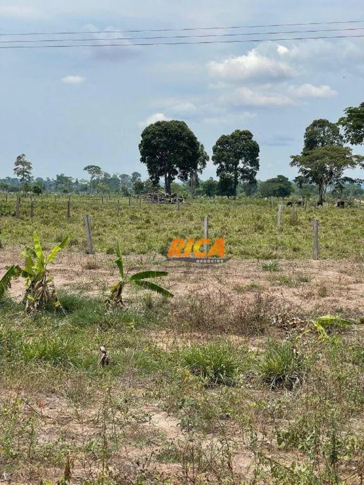 Sítio, 23 hectares - Foto 7