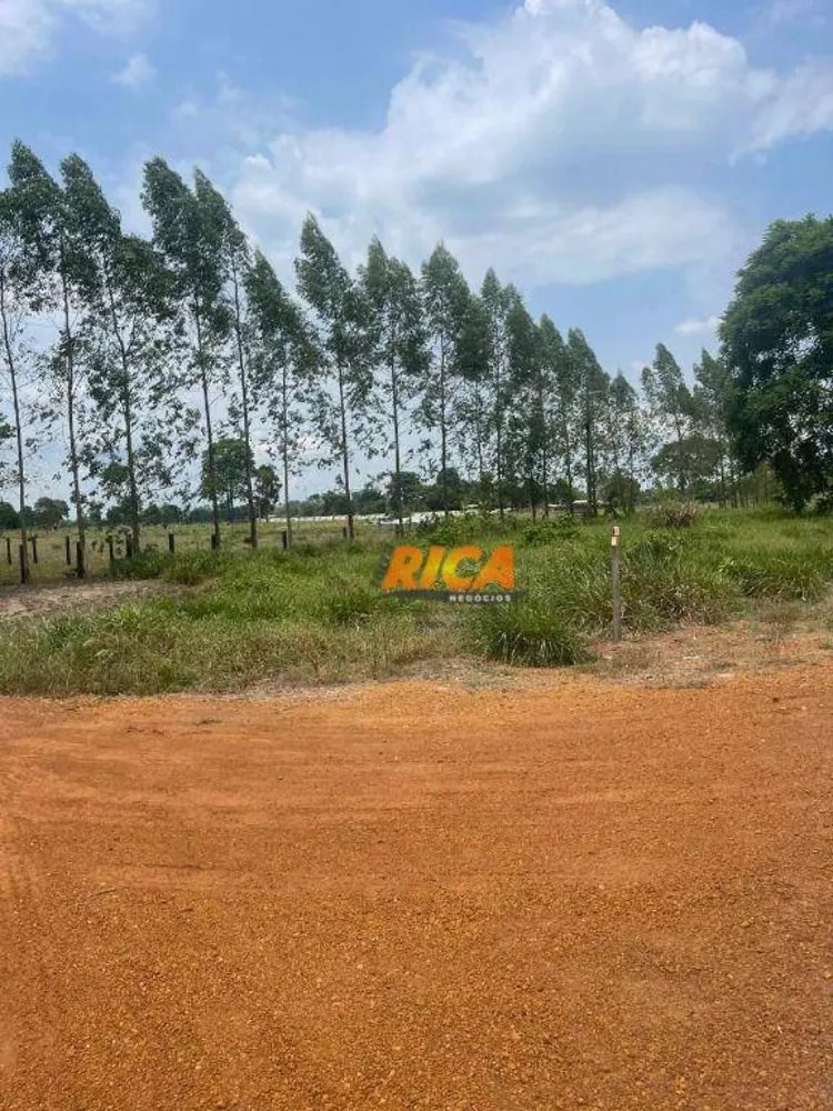 Sítio, 23 hectares - Foto 8