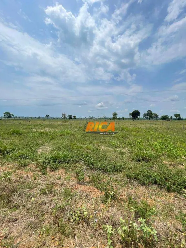 Sítio, 23 hectares - Foto 4