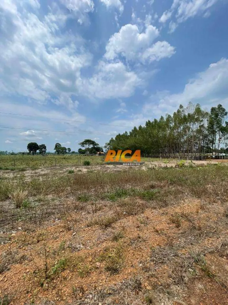Sítio, 23 hectares - Foto 12