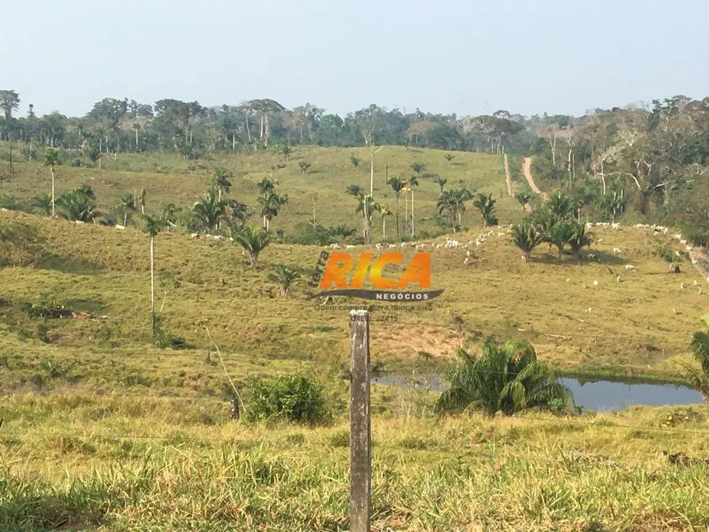 Fazenda, 814 hectares - Foto 13