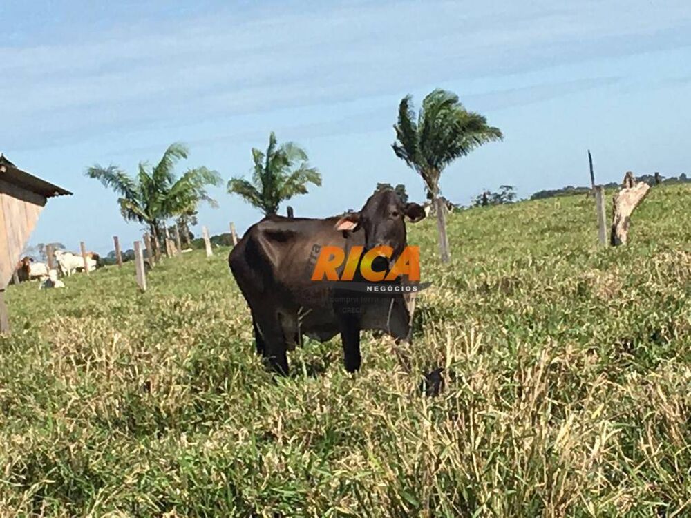 Fazenda à venda, 8143000M2 - Foto 4