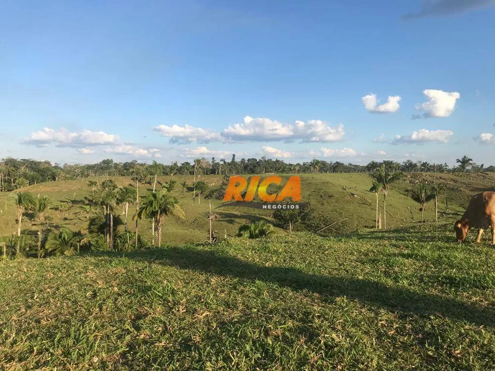 Fazenda, 814 hectares - Foto 8
