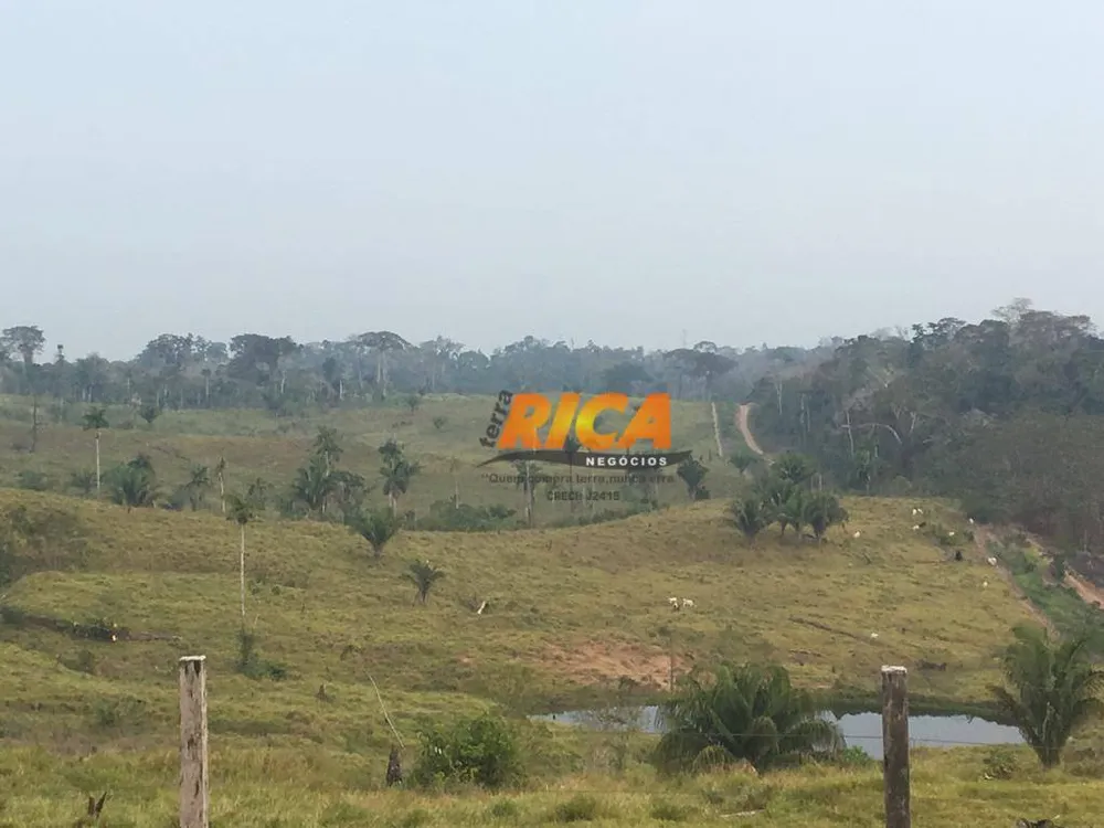 Fazenda, 814 hectares - Foto 11