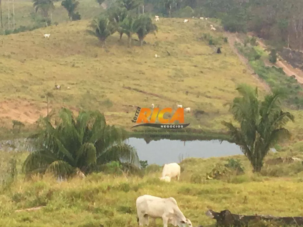 Fazenda, 814 hectares - Foto 10