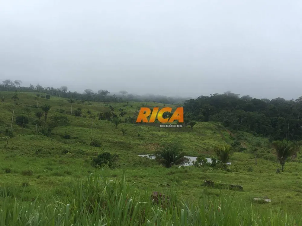 Fazenda, 814 hectares - Foto 9