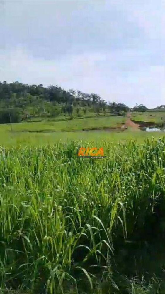 Fazenda, 138 hectares - Foto 3