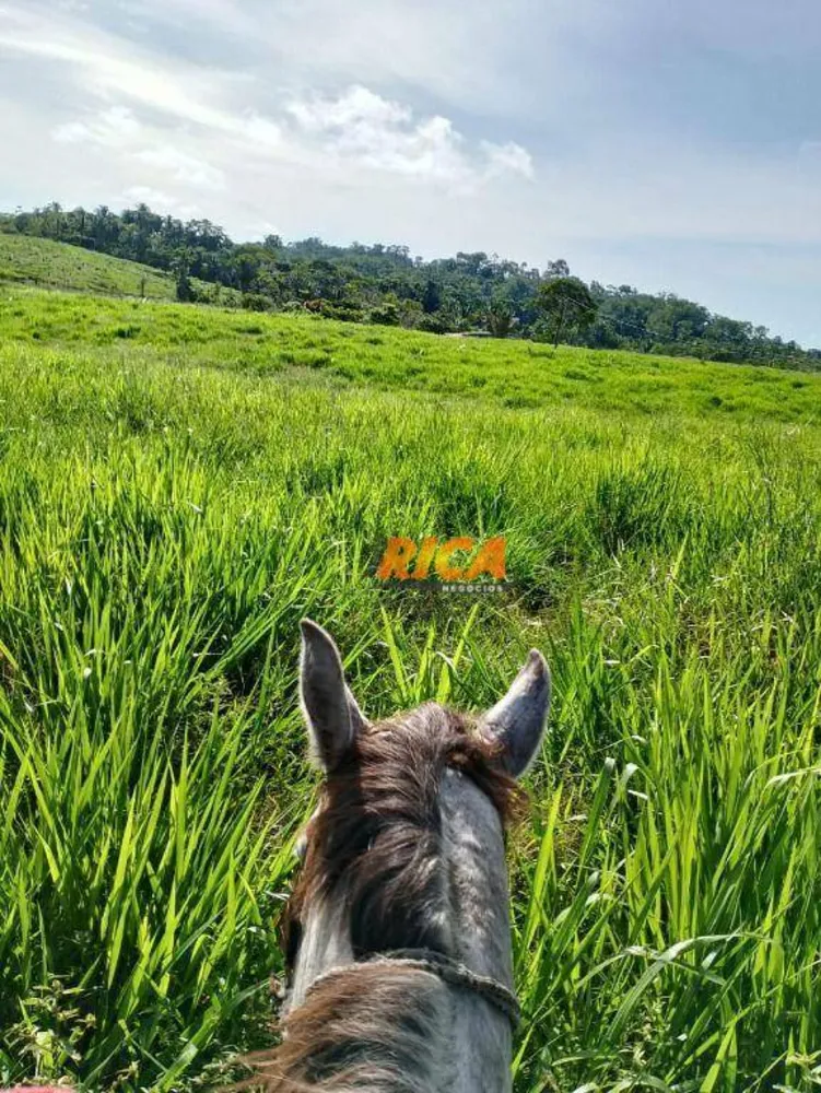 Fazenda, 138 hectares - Foto 12