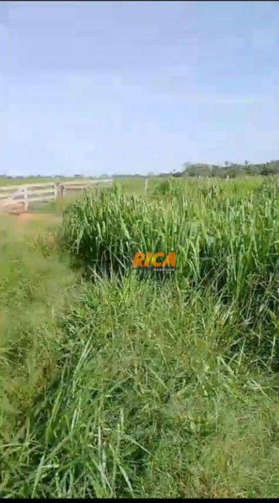 Fazenda, 138 hectares - Foto 2