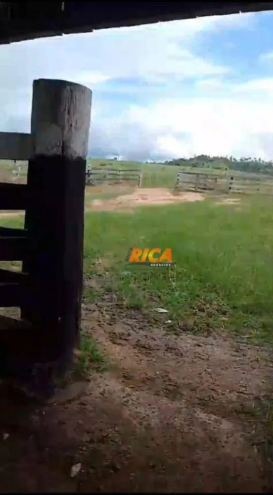 Fazenda, 138 hectares - Foto 8