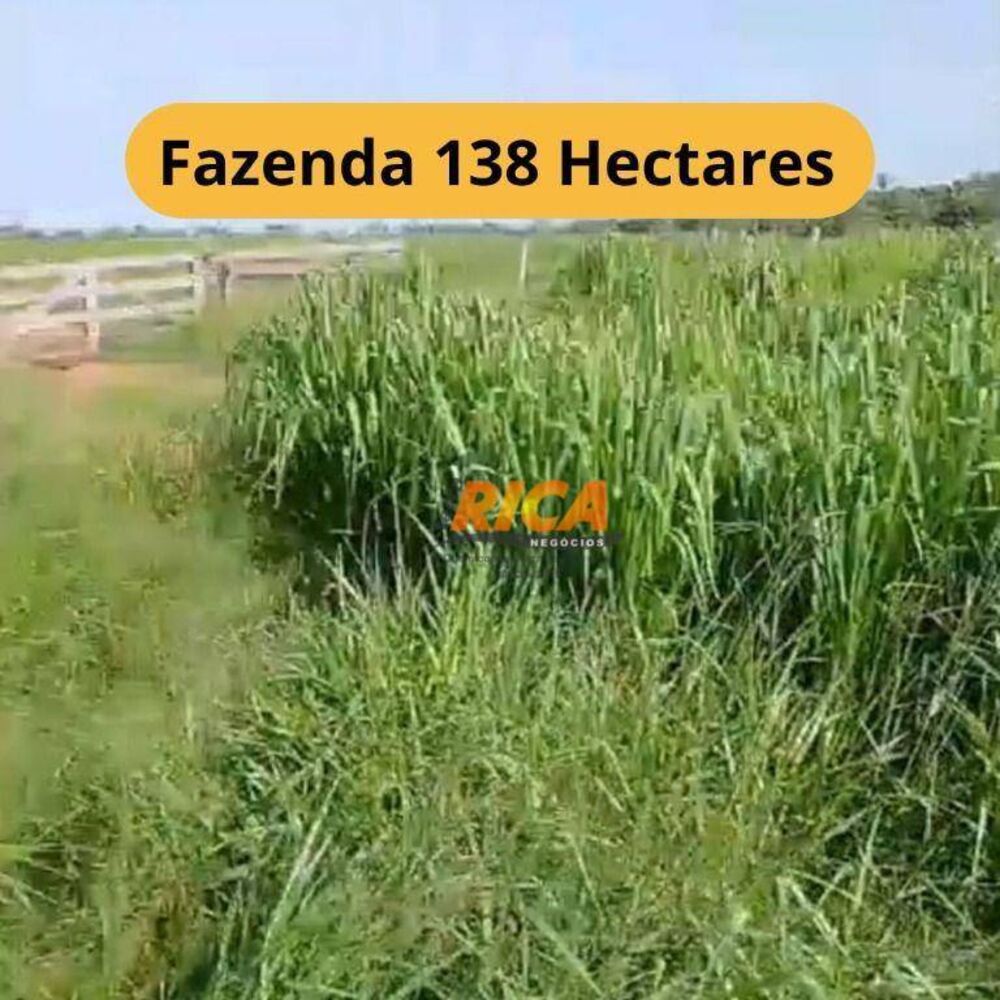 Fazenda, 138 hectares - Foto 1