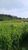 Fazenda, 138 hectares - Foto 3