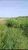 Fazenda, 138 hectares - Foto 2
