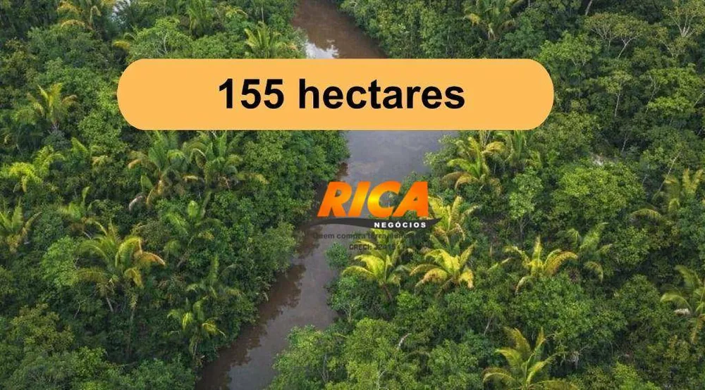 Fazenda, 155 hectares - Foto 4